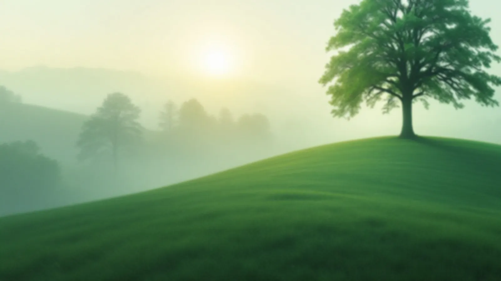 A large linden tree on a green hill above a misty valley at sunrise, the LindenAlta view of personal cash loans online, $100 – $5,000